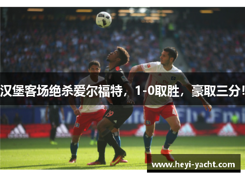 汉堡客场绝杀爱尔福特，1-0取胜，豪取三分！