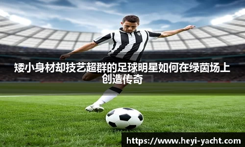 矮小身材却技艺超群的足球明星如何在绿茵场上创造传奇